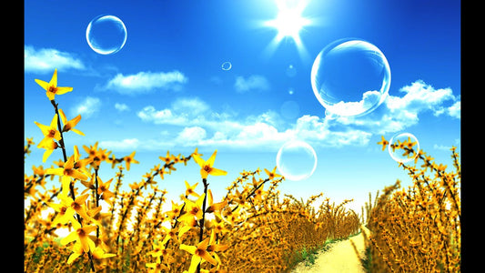 3 Hour Healing & Motivating Music: "A Walk Under The Sun" - Nature, Meditation, Stress Relief, Relax