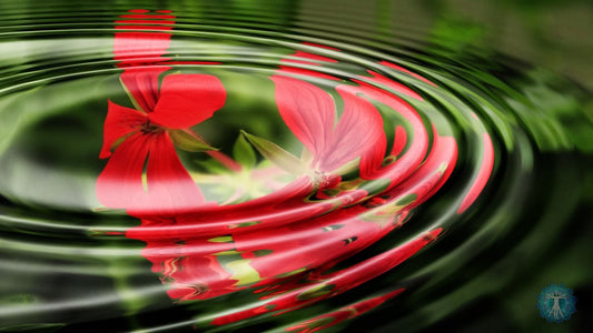 Sleep and Recovery Music: "Essential Healing During Deep Sleep" - Relaxation, Wellness, Health