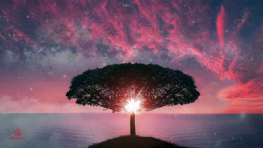 Quantum Manifestation , Destroy Negativity & Transcend The Mind