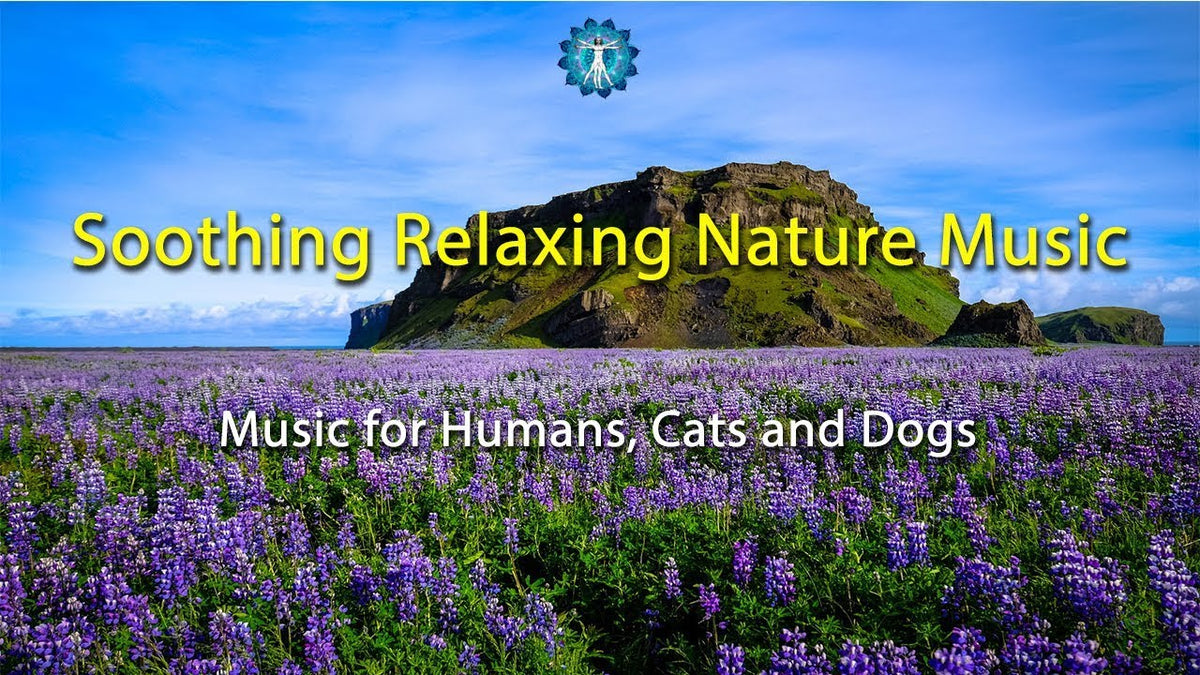 BEST MUSIC FOR PETS Relaxing Nature Music - Music for Humans, Cats and Dogs