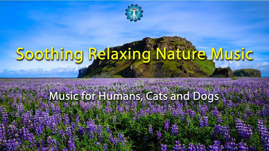BEST MUSIC FOR PETS Relaxing Nature Music - Music for Humans, Cats and Dogs