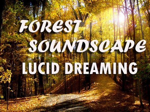 Deep Sleep Forest Soundscape Lucid Dreaming ( Sleep Music)