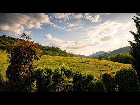 Tuscany Window View | Slow Countryside Time-Lapse with Reflective Piano Ambient