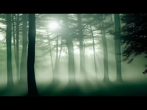 Into the Mystic Forest - Dark Ambient Relaxing Music for Sleep and Dreaming