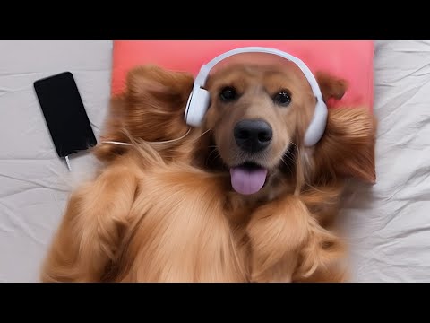 Pet Therapy: Soothing Nature Sounds and Frequencies for Pets - Music for Cats - Music for Dogs