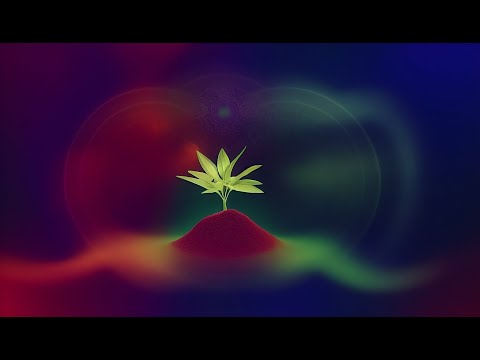 Music for Plants - Sonic Nourishment: Binaural Frequencies for Healthy Plants