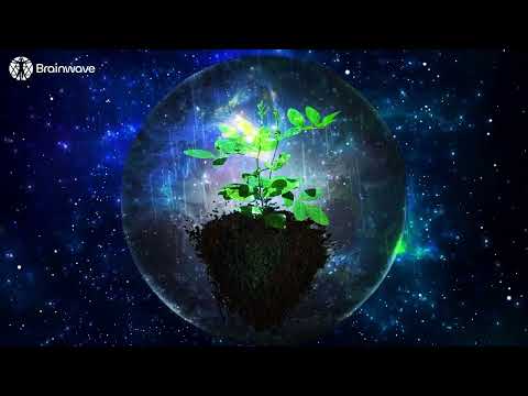 Music for Plant Growth with Binaural Beats and Rain Sounds