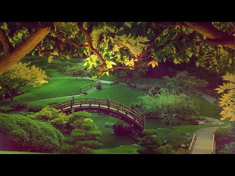 HARMONIC HEALING - Earth Frequency Meditation - Brainwave Entrainment Music