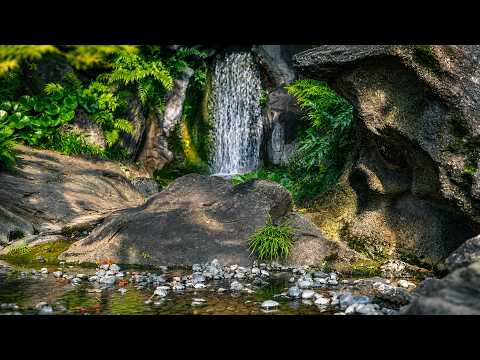 Imperial Palace Gardens, Tokyo | of Real Waterfalls & Birdsong