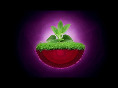 Music for Plants - Music Stimulation for Plant Health - Brainwave Entrainment